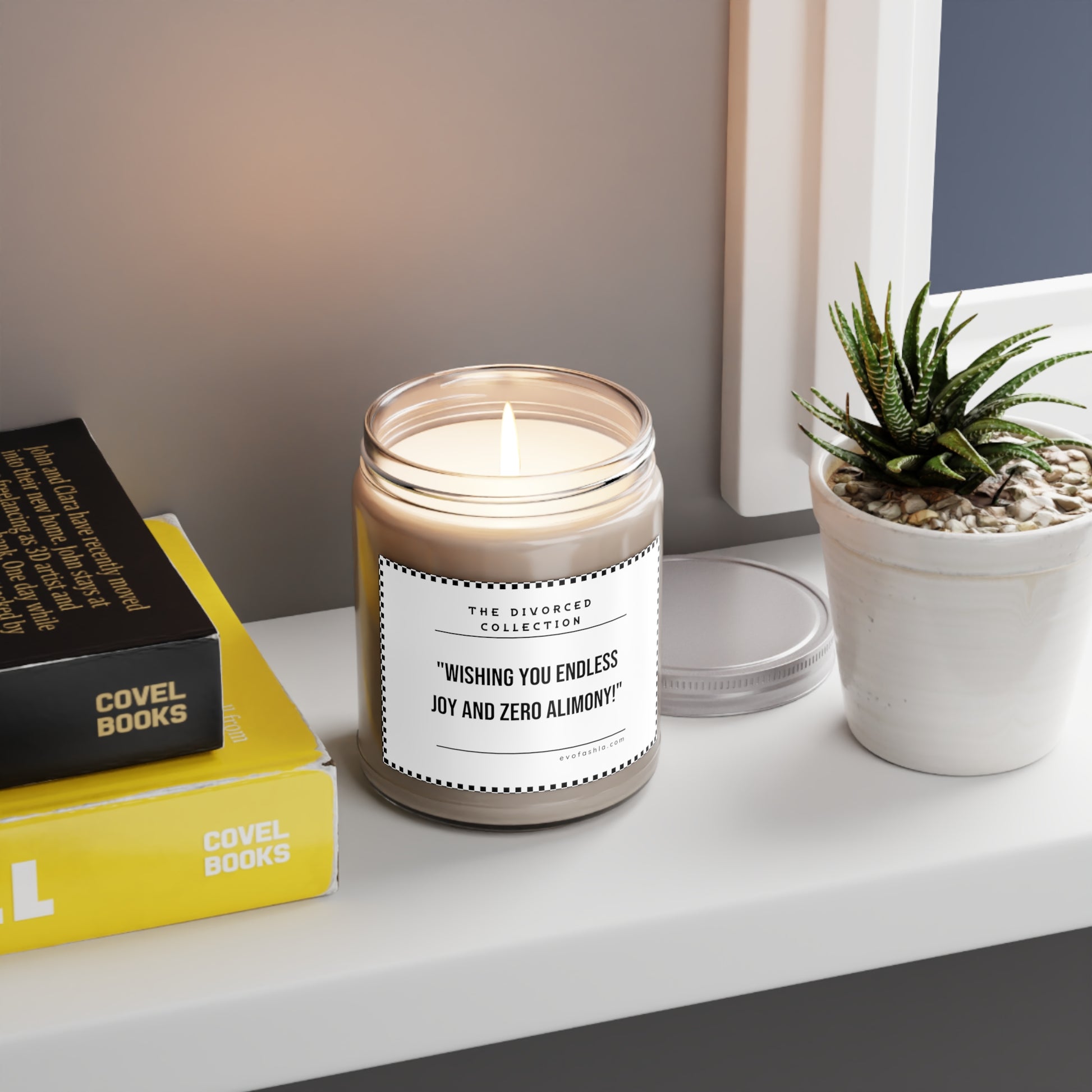 Wishing You Endless Joy And Zero Alimony Scented Candles, 9oz - EvoFash 